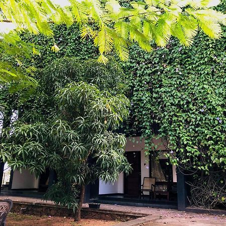 Dambulla Rock Arch Exterior foto