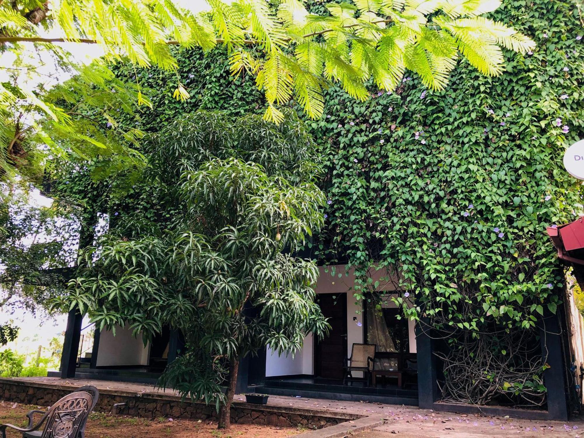 Dambulla Rock Arch Exterior foto