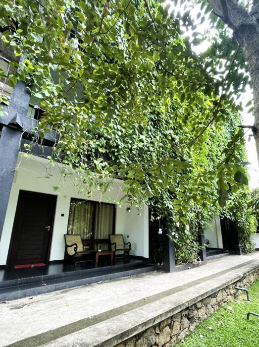 Dambulla Rock Arch Exterior foto