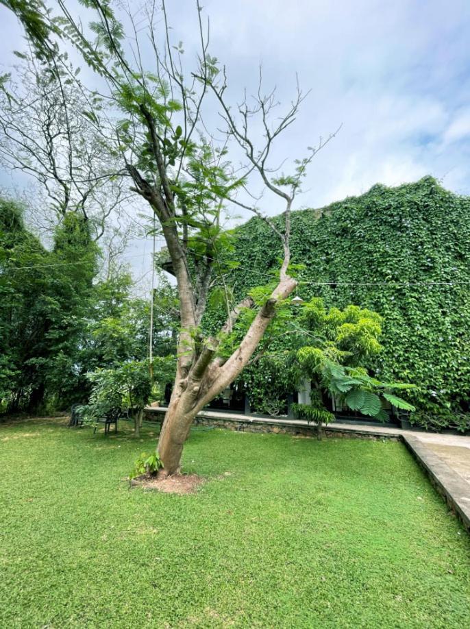 Dambulla Rock Arch Exterior foto